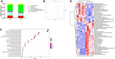 Disease-associated gut microbiome and metabolome changes in rats with chronic hypoxia-induced pulmonary hypertension